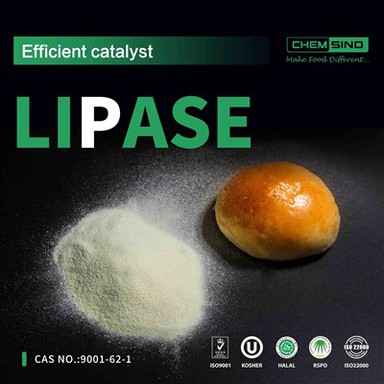 Zeg ja tegen een vetvriendelijke spijsvertering: Lipase-enzymoplossingen CAS-NR.:9001-62-1