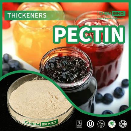 Voedseladditief E440 Biologisch appelpectinepoeder voor inblikken