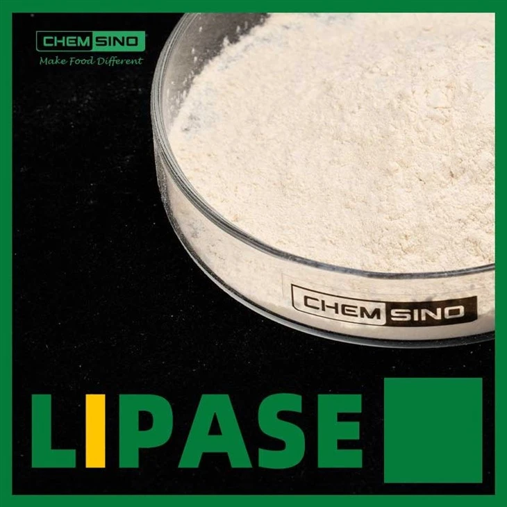 Lipase powder