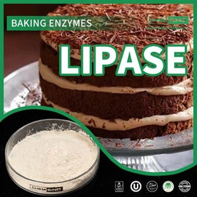 Geef uw vetafbraak een boost: lipase-enzym voor optimale voeding CAS-NR.:9001-62-1