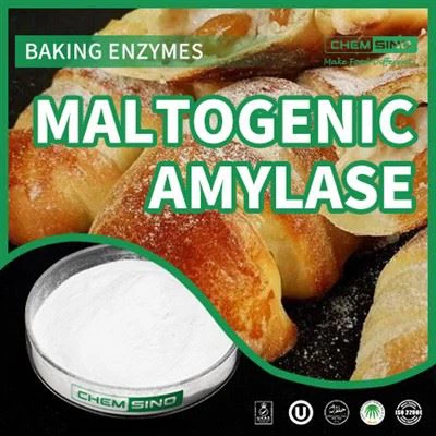 Brewing Brilliance 2.0: uitmuntend vakmanschap met maltogene amylase.CAS NR. 9000-92-4
