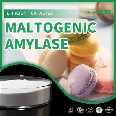 Verbeter smaakprofielen: omarm de kracht van maltogene amylase.CAS NR. 9000-92-4