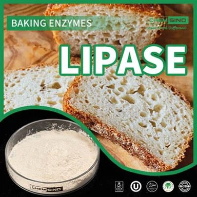 Geef uw lichaam de juiste brandstof: lipase-enzym voor een betere benutting van voedingsstoffen CAS-NR.:9001-62-1