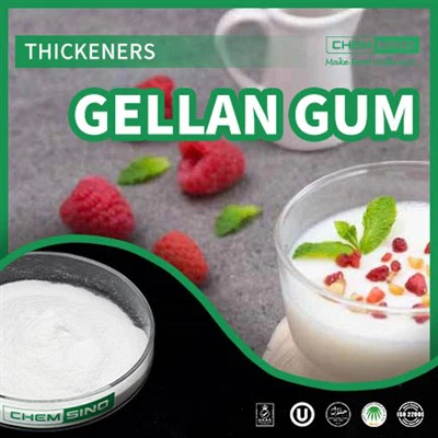 Gellan Gum Innovations: een nieuwe definitie van voedseltextuur en kwaliteit CAS NR.71010-52-1