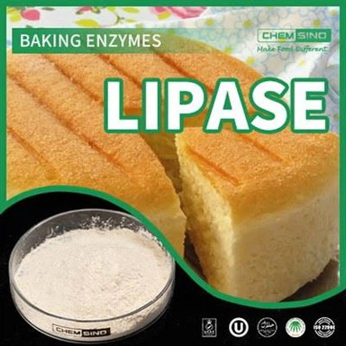 Revolutionaire lipase-enzymtechnologie: betere spijsvertering wacht op CAS NR.:9001-62-1